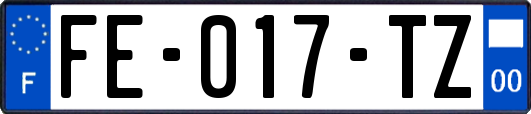 FE-017-TZ