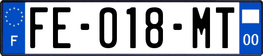 FE-018-MT