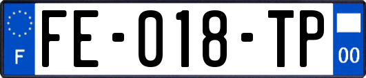FE-018-TP