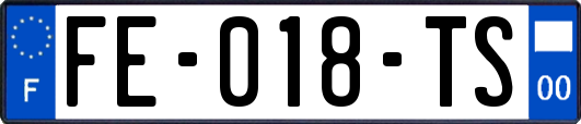 FE-018-TS