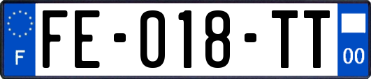 FE-018-TT