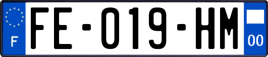 FE-019-HM