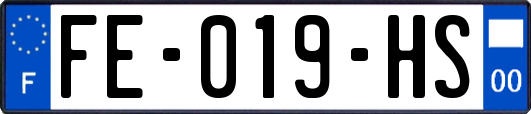 FE-019-HS