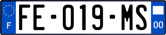 FE-019-MS