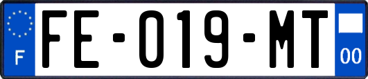 FE-019-MT