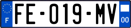 FE-019-MV