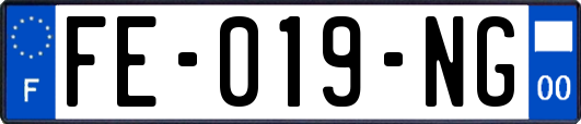 FE-019-NG