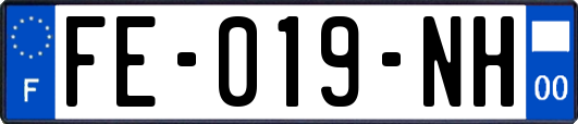 FE-019-NH
