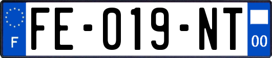 FE-019-NT