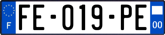 FE-019-PE