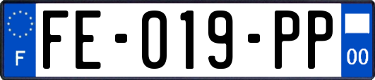 FE-019-PP