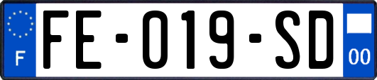 FE-019-SD