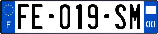 FE-019-SM