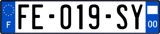 FE-019-SY