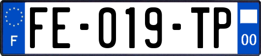 FE-019-TP