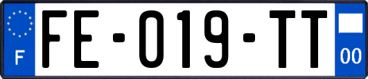 FE-019-TT