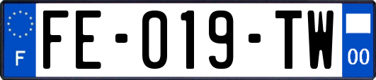 FE-019-TW