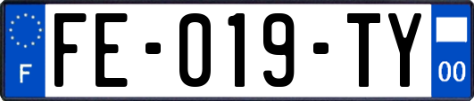 FE-019-TY