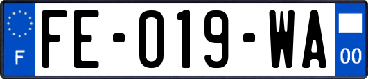 FE-019-WA
