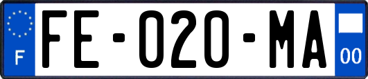 FE-020-MA