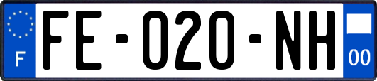FE-020-NH