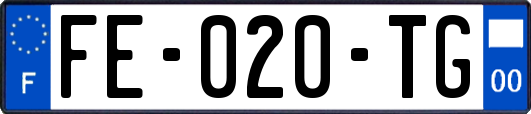 FE-020-TG