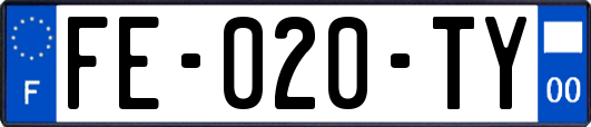 FE-020-TY