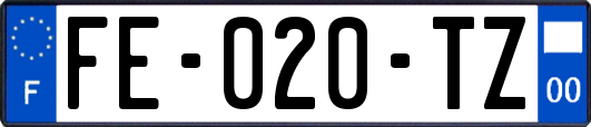 FE-020-TZ