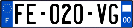 FE-020-VG