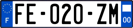 FE-020-ZM