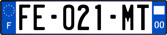 FE-021-MT