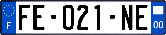 FE-021-NE