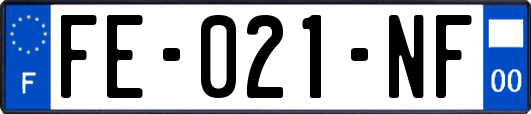FE-021-NF