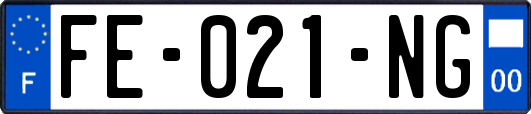 FE-021-NG
