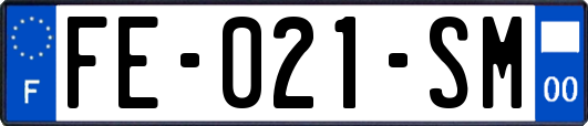 FE-021-SM
