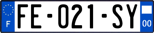 FE-021-SY