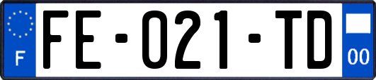 FE-021-TD