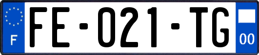 FE-021-TG