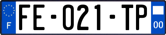 FE-021-TP