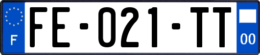 FE-021-TT