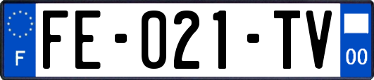 FE-021-TV