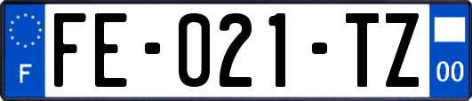 FE-021-TZ