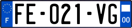FE-021-VG