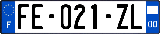 FE-021-ZL