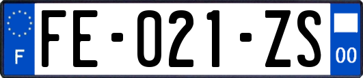 FE-021-ZS