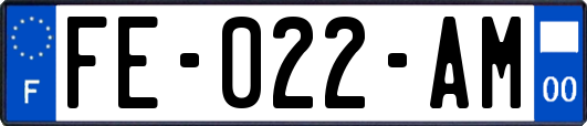 FE-022-AM