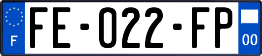 FE-022-FP