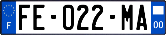 FE-022-MA