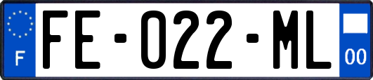 FE-022-ML