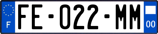 FE-022-MM